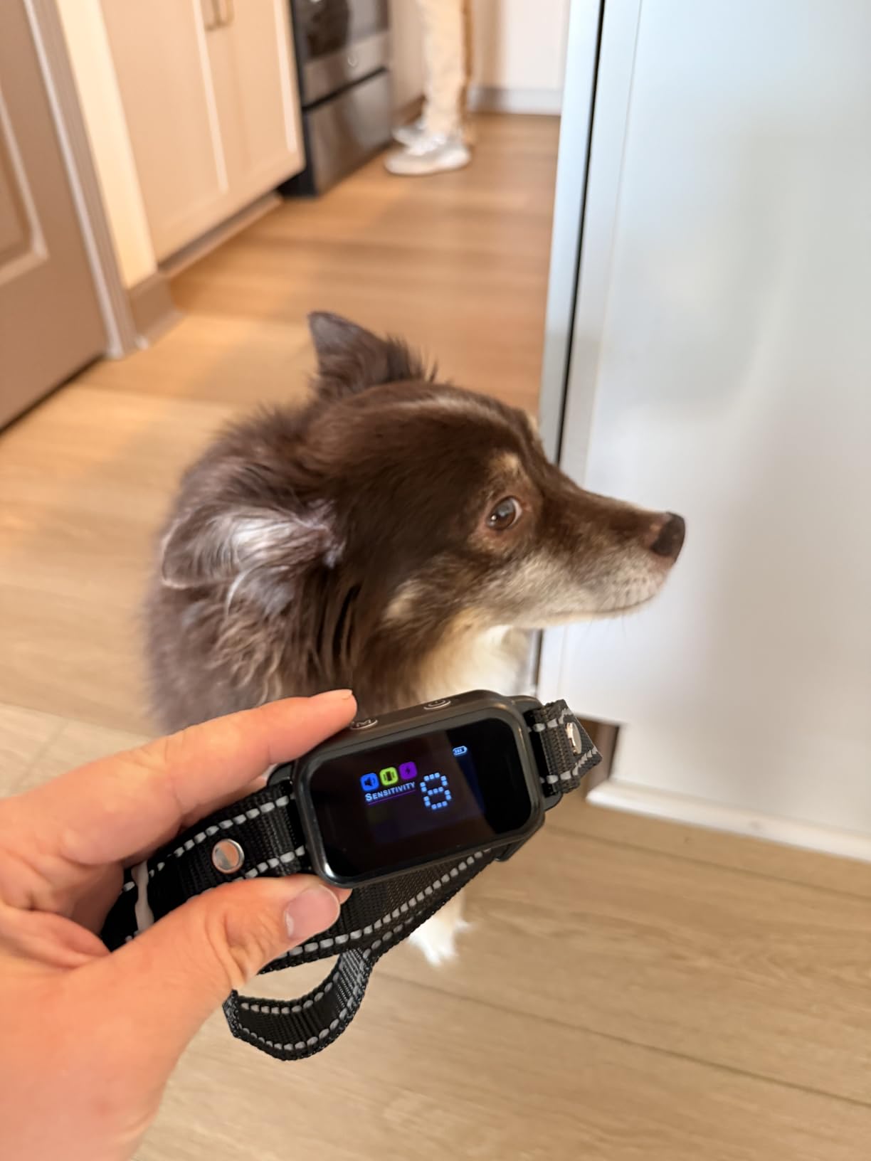 Dog Bark Collar for Large Medium Small Dogs - Smart AI 1S Stop Barking, Anti Barking Device & Dog Training Collar with Beep, Vibration & 8-Level Sensitivity, IP67 Waterproof, USB-C Fast Charge - Black customer photo 2