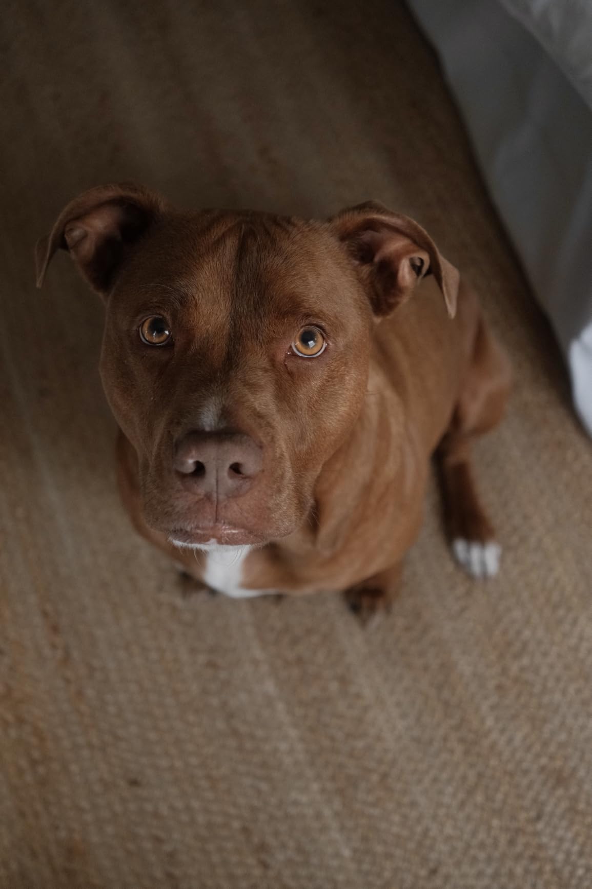 FUJIFILM X-T30 III Mirrorless Camera Body, Silver customer photo 1