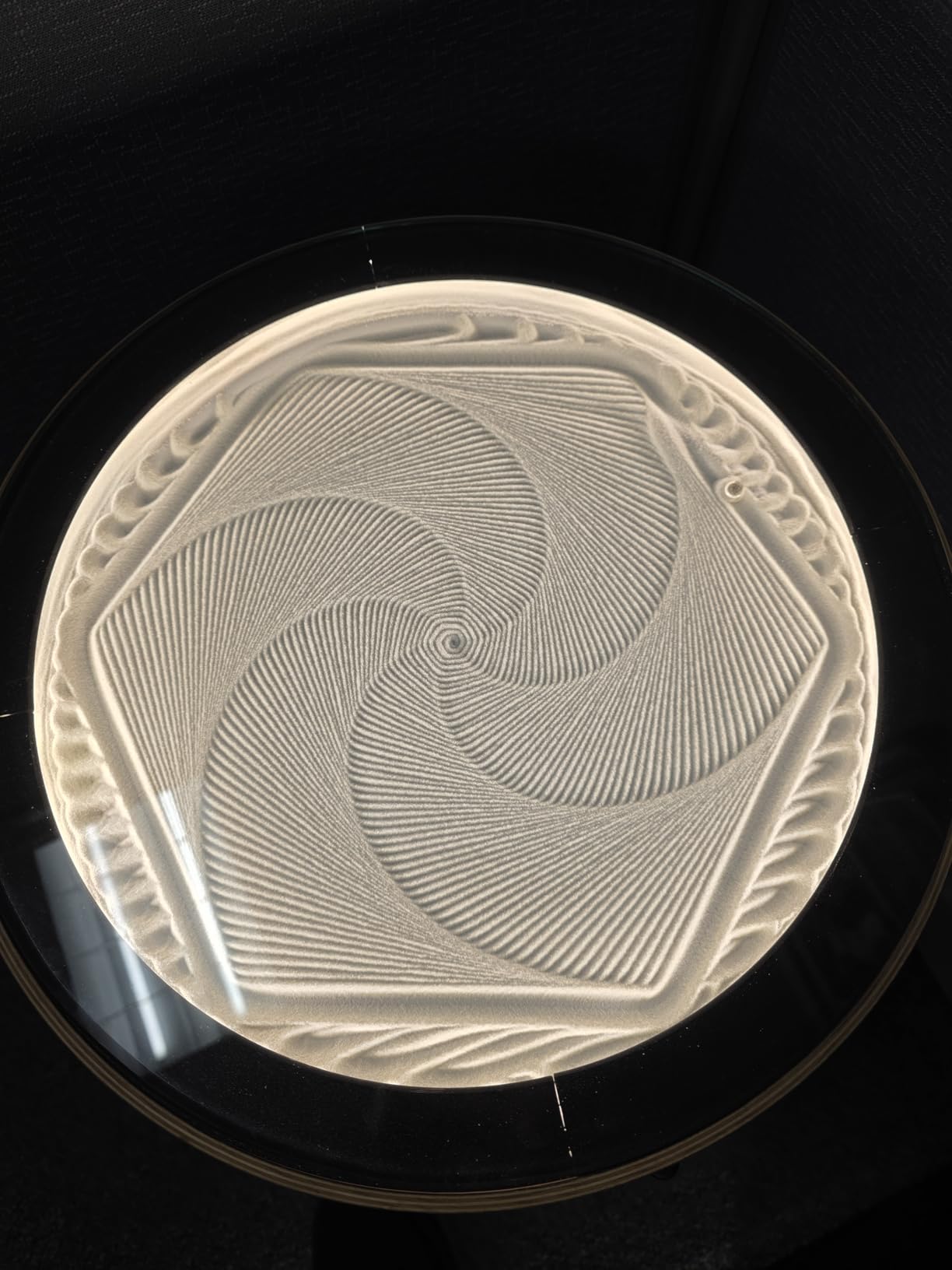 Twotrees TTS-10 Pro Laser Engraver,10000mW High Precision Laser Engraving Machine,Laser Cutter,30000mm/min Speed,0.069mm Laser Spot Engraver Machine for DIY,Wood,Metal,Acrylic,Glass,Stainless Steel customer photo 1