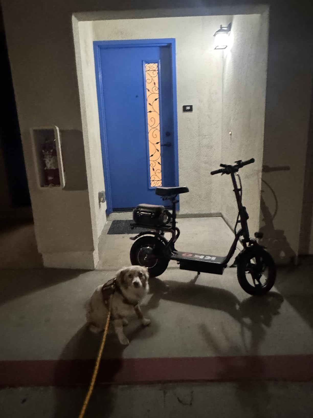 KEQ Electric Scooter Adults with Seat, 48V 22.5AH Foldable Escooter 14