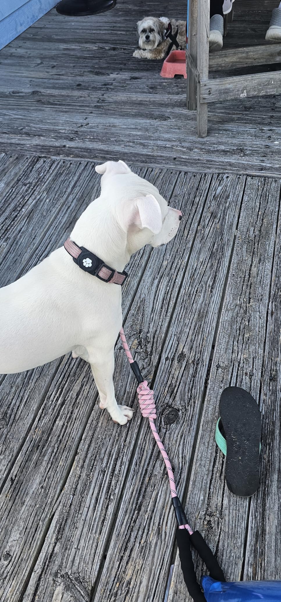 Smart Pet Tracker for Collar - Dog Trackers Pet Location Tracker with Holder, No Monthly Fee, Anti-Lost Tracking Device for Pets, Bag Straps, Compatible with Google Android Only (Not for iOS), Black customer photo 1