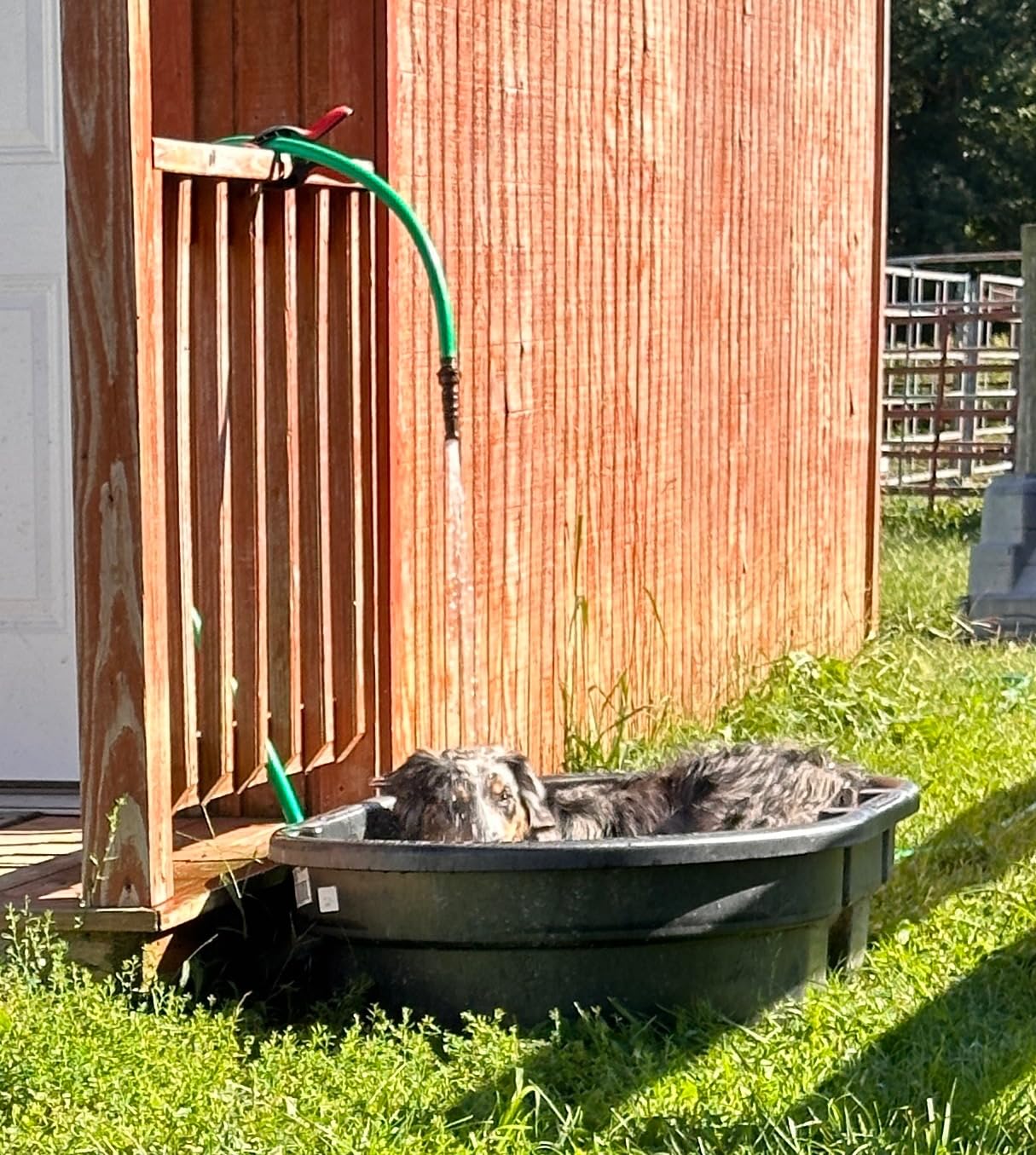 Smart Pet Tracker for Collar - Dog Trackers Pet Location Tracker with Holder, No Monthly Fee, Anti-Lost Tracking Device for Pets, Bag Straps, Compatible with Google Android Only (Not for iOS), Black customer photo 2