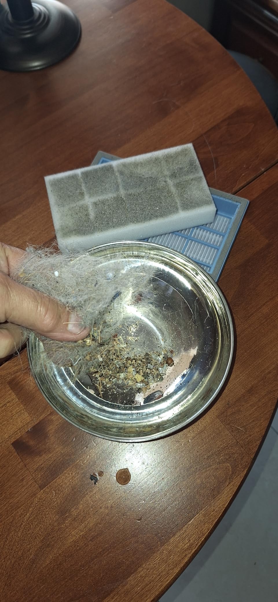 Bissell FlexClean FurForce Robot Vacuum & Mop with No Tangle Pet Brush Roll, LiDAR Navigation & Liftable Pad for Pet Hair Removal on Hard Floors & Rugs, 180min Runtime 60-Day Dust Collection, 4270L customer photo 1