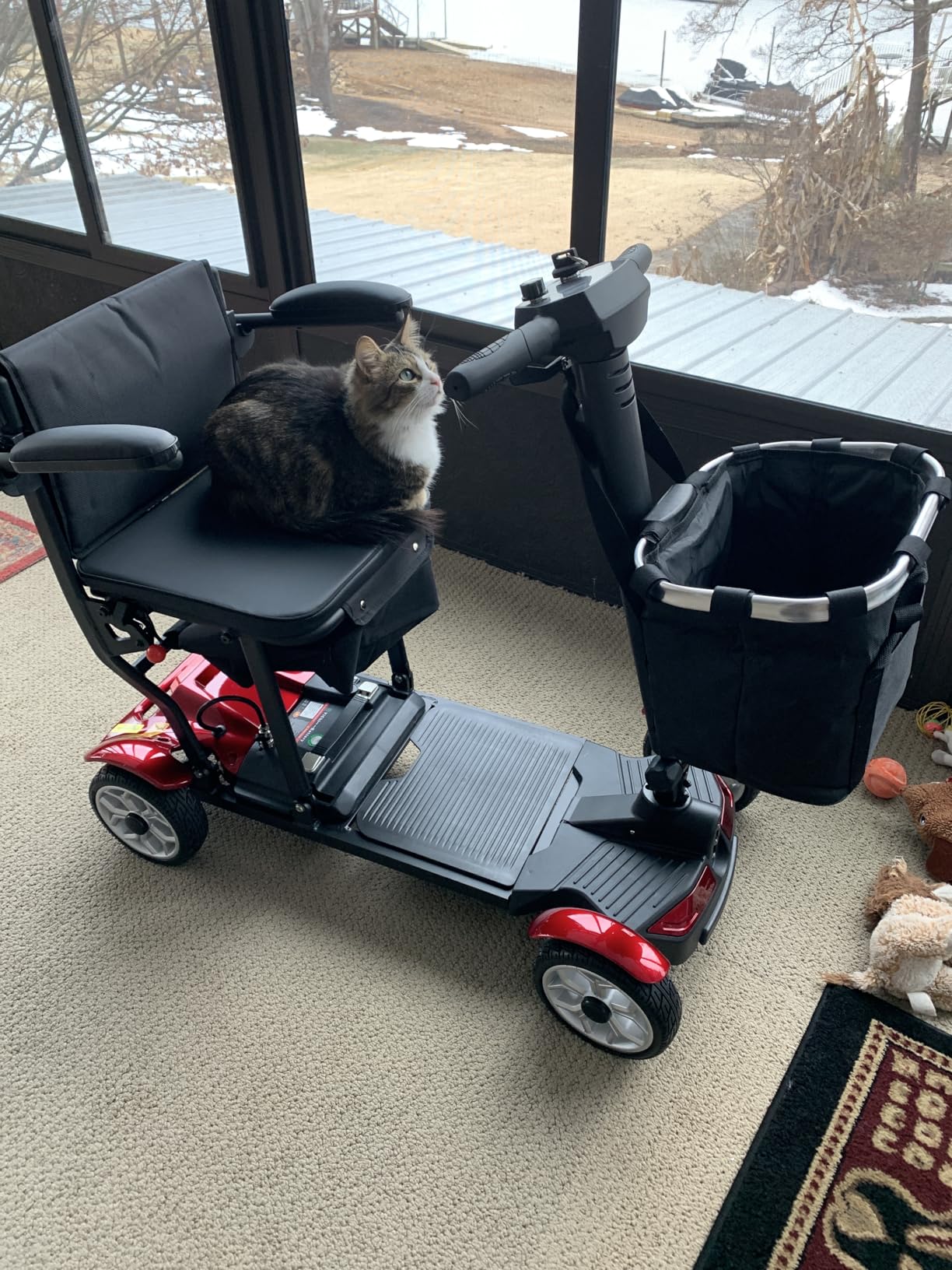 4 Wheels Mobility Scooters for Seniors,39LBS Light Frame&350LBS Capacity&30 Miles Travel Range&270W Brushless Motor Powered Wheelchair Folding Electric Scooter&LED Lights&Dust Cover&Auto Brake-(Red) customer photo 1