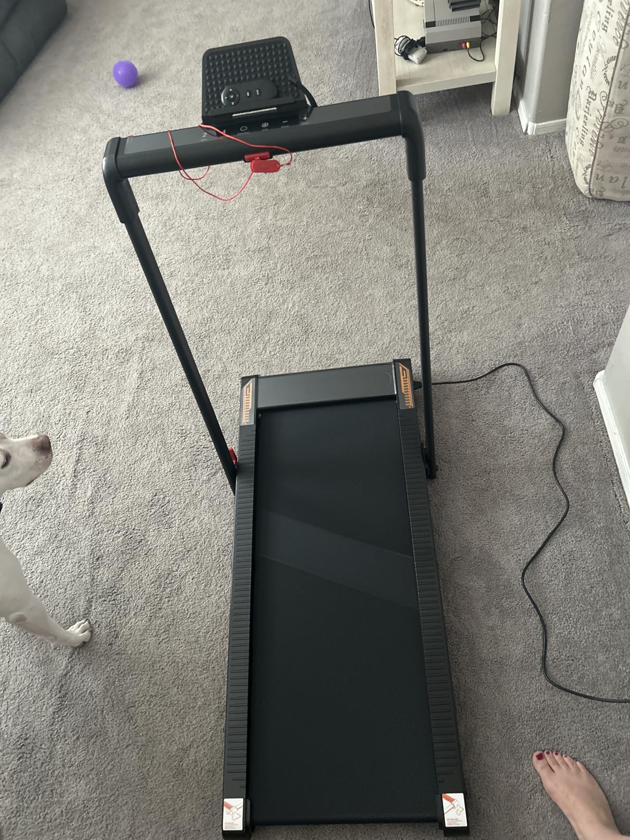 Treadmill with Speaker, 6-in-1 7.5MPH Foldable Treadmill for Home with App Compatible, Walking Pad with 10% Incline, LED Display, 3.0HP Brushless Drive customer photo 2