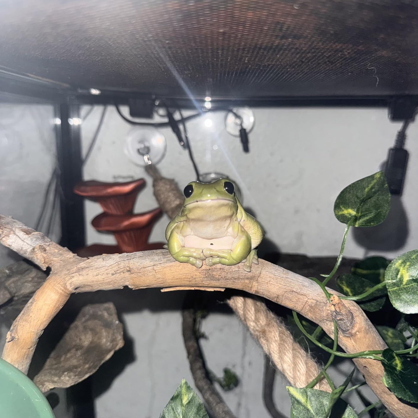 Hidden Camera, Mini Nanny Cam Wireless with Free Cloud Storage, WiFi & Offline Recording, Motion Detection & Night Vision for Home Security/Nanny/Pet/Baby Monitor customer photo 1