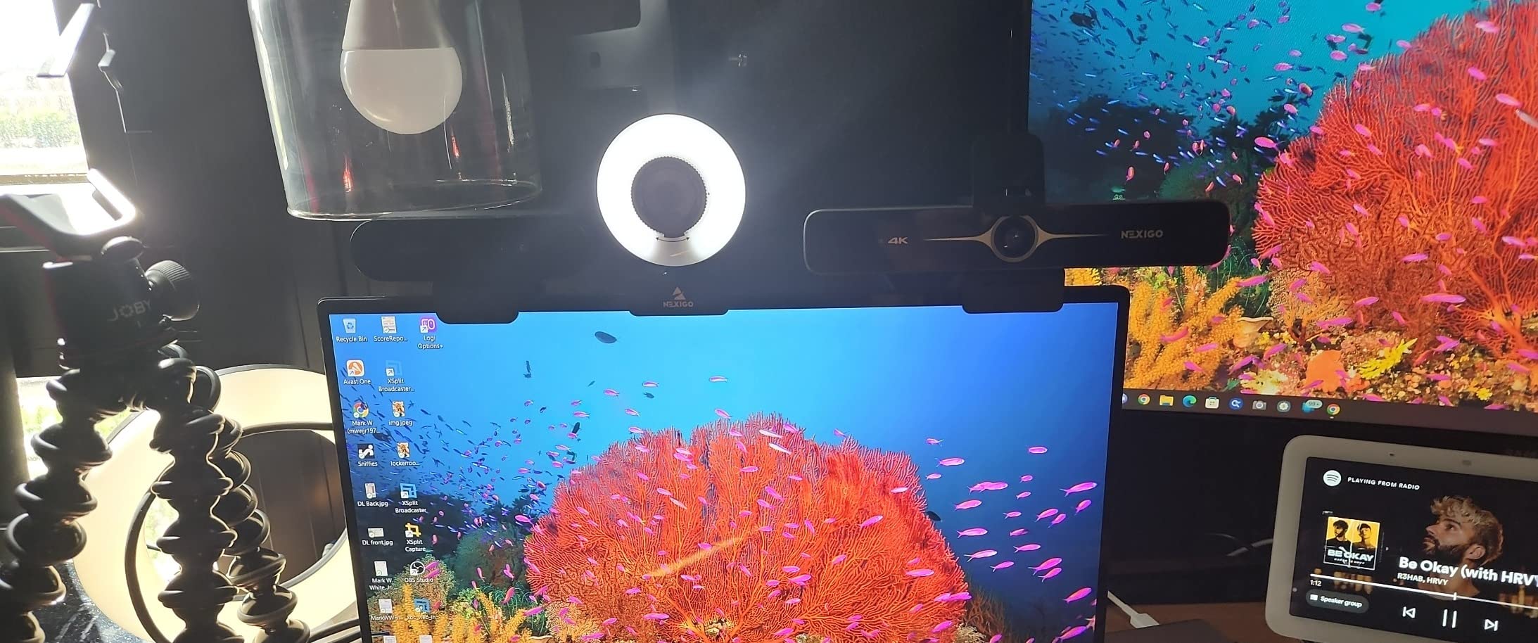 NexiGo N680E Pro 4K Webcam with Ring Light, PDAF Autofocus, 1080p 60FPS, Dual Noise-Canceling Mics, Privacy Shutter, USB Plug-and-Play for Zoom, Teams, Twitch, Google Meet customer photo 1