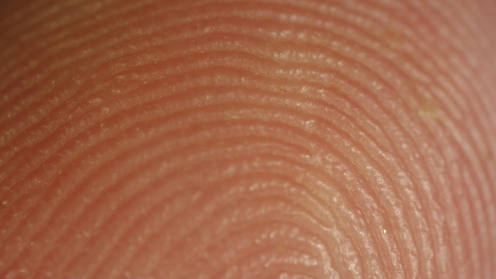 TOMLOV 3D Digital Soldering Microscope: Magnetic Dual Lens Micro Scope TM3K-3D Max For Adult, Coin Microscope with Flex Arm, 3K 10.1-Inch IPS Screen, HDMI/USB Output, Gooseneck Light, Repair Mat, 64GB customer photo 1