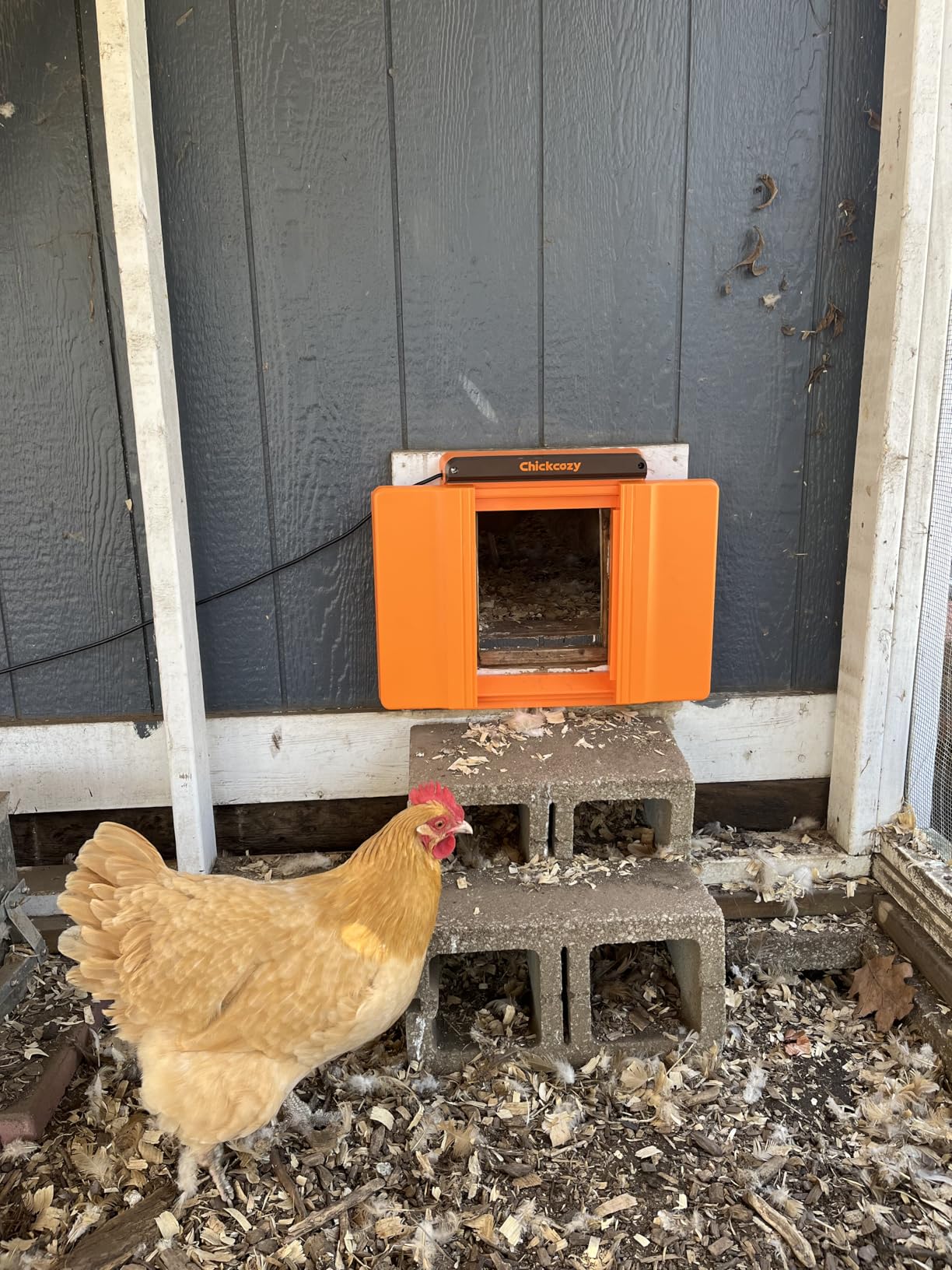 Solar-Powered Automatic Chicken Coop Door, Dual Motor Coop Door with Light Sensor, Timer & Manual Mode, Chicken Opener with Anti-Pinch System, Detachable Controller, Dual Power Options, Weatherproof customer photo 1