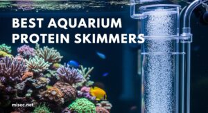 Best Aquarium Protein Skimmers