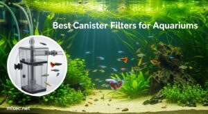 Best Canister Filters for Aquariums