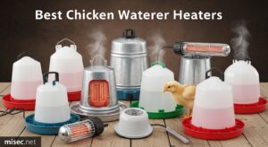 Best Chicken Waterer Heaters