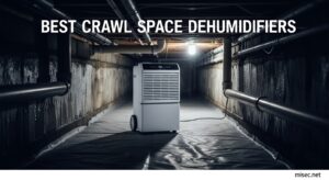 Best Crawl Space Dehumidifier