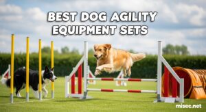 Best Dog Agility Equipment Sets