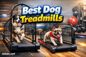 Best Dog Treadmills