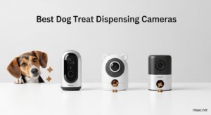 Best Dog Treat Dispensing Cameras