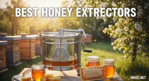 Best Honey Extractors