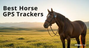 Best Horse GPS Trackers