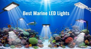 Best Marine LED Lights