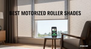 Best Motorized Roller Shades