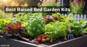 Best Raised Bed Garden Kits