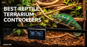 Best Reptile Terrarium Controllers