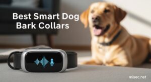 Best Smart Dog Bark Collars