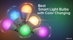 Best Smart Light Bulbs with Color Changing