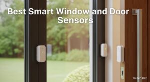 Best Smart Window and Door Sensors