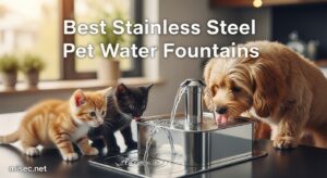 Best Stainless Steel Pet Water Fountains
