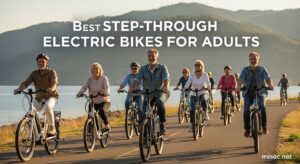 Best Step-Through Electric Bikes for Adults