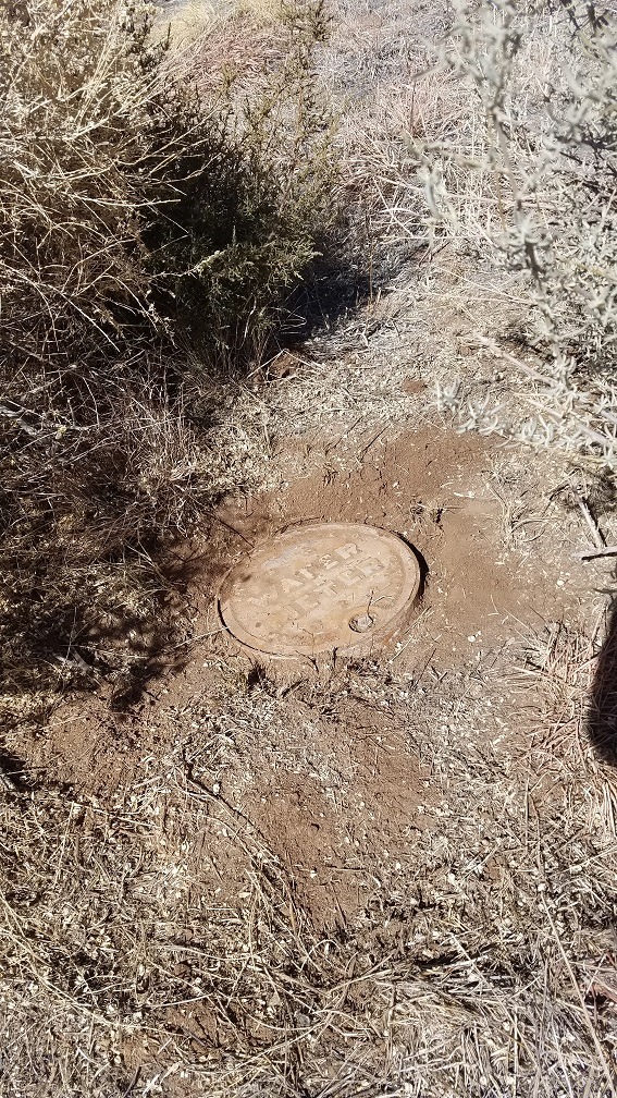 Bounty Hunter Time Ranger Metal Detector for Adults - Waterproof Coil, LCD Display, 4 Modes, Pinpoint, Target ID, Ground Balance - Detects Gold, Coins & Relics - Made in USA customer photo 1