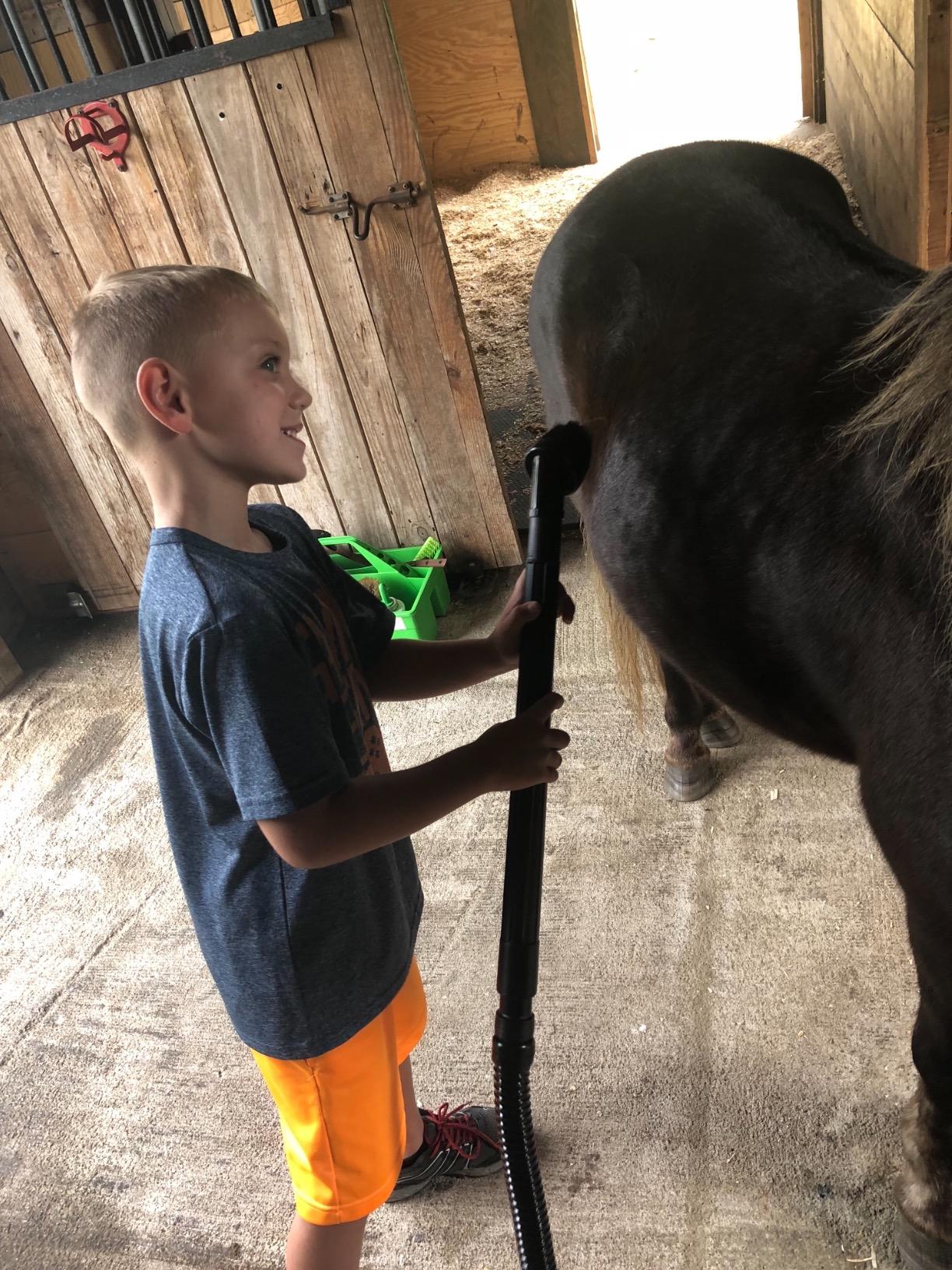 METROVAC Compact Vacuum - Model VNB-83BA, 4.0 Peak HP, All-Steel Construction, 6 Ft Hose, Portable Handheld Design, Blower Function customer photo 1