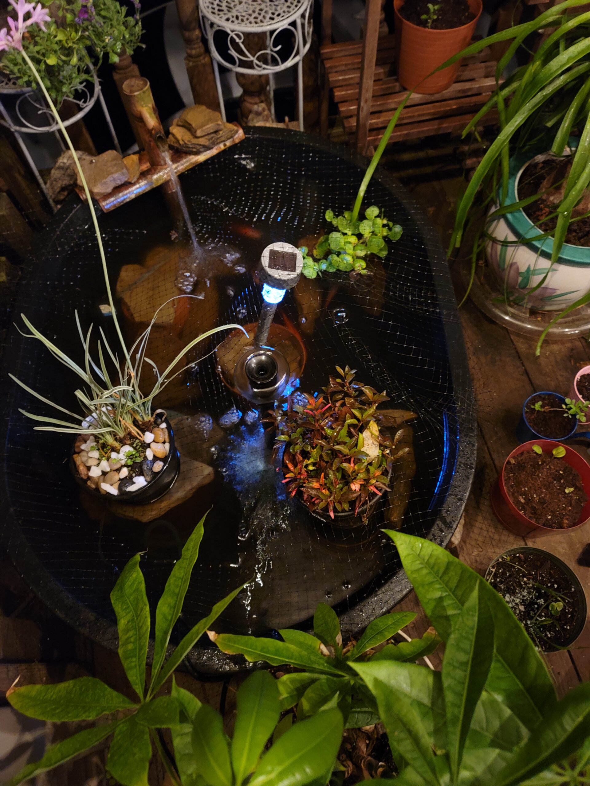 Danner Manufacturing, Inc. Pondmaster Garden Pond Filter and Pump Kit, PMK 190, Black, 02019 customer photo 2