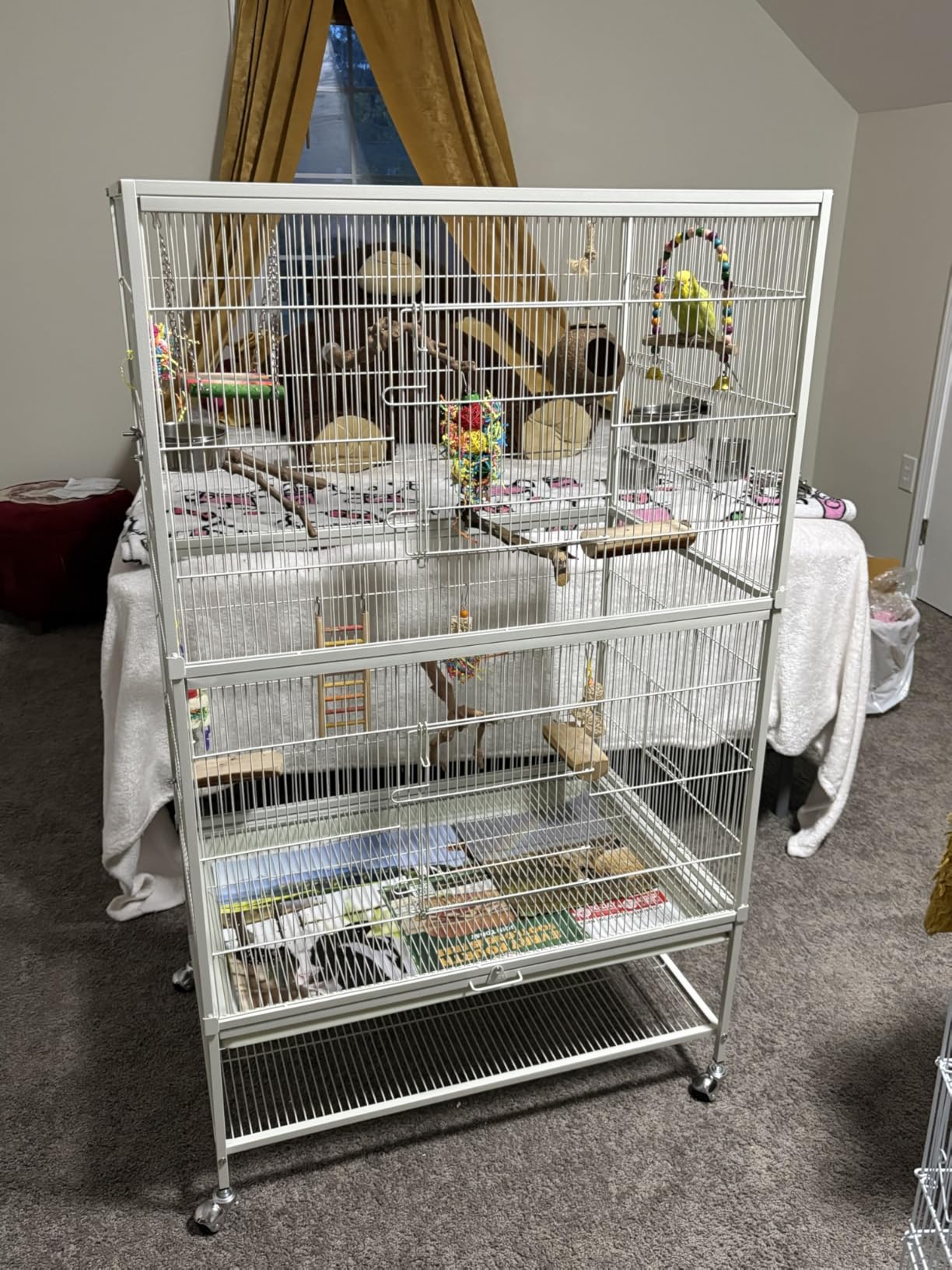 Prevue Hendryx Pet Products Wrought Iron Flight Cage - Big Rolling Bird Cage for Parakeets, Cockatiels, Conures, Lovebirds, Canaries, Finches, Parrotlets, & Caiques, 5 Ft - X-Large, Hammertone Black customer photo 1