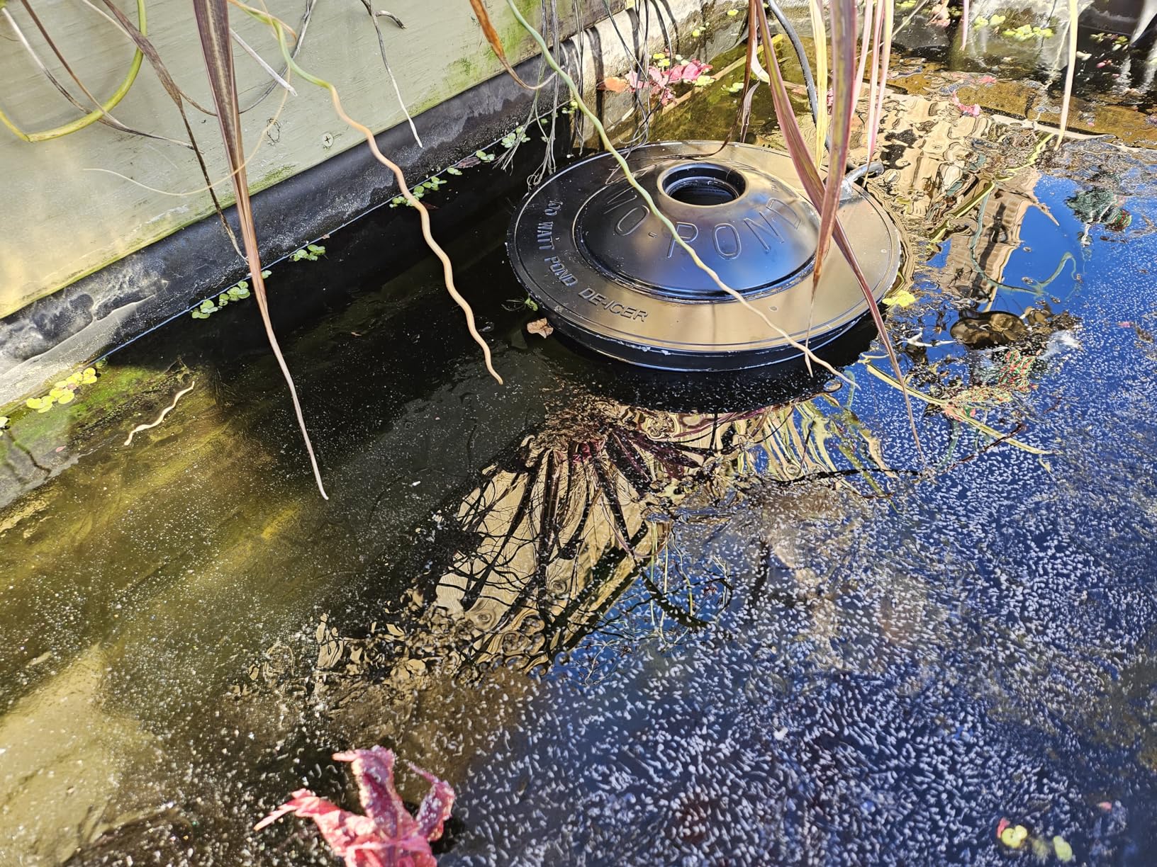 K&H Pet Products Pond Heater for Outdoor Ponds with Fish, Thermo-Pond 3.0 Deicer Keeps a Hold in the Ice for Oxygen Exchange for Live Fish, Energy Efficient, Safety Listed - 12in Black 100W customer photo 1