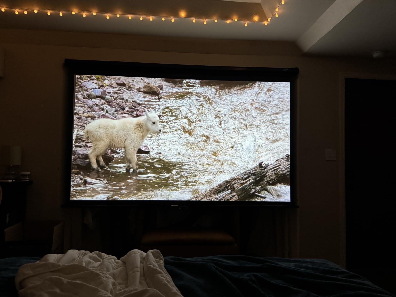 Elite Screens Manual Series, 150-INCH 16:9, Pull Down Manual Projector Screen with AUTO LOCK, Movie Home Theater 8K / 4K Ultra HD 3D Ready, 2-YEAR WARRANTY, M150UWH2 customer photo 1