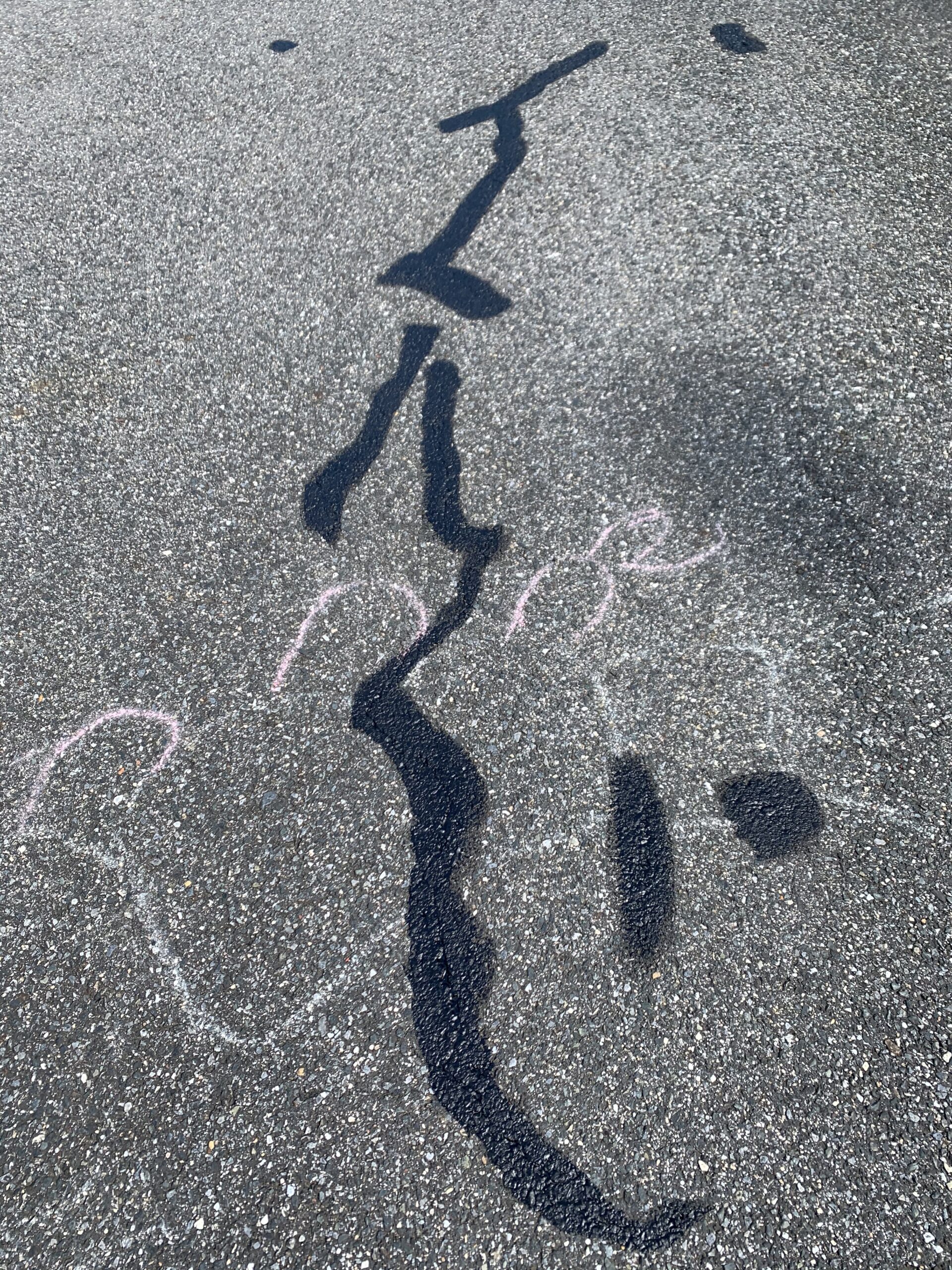 Driveway Elastomeric Emulsion Crack Filler customer photo 1