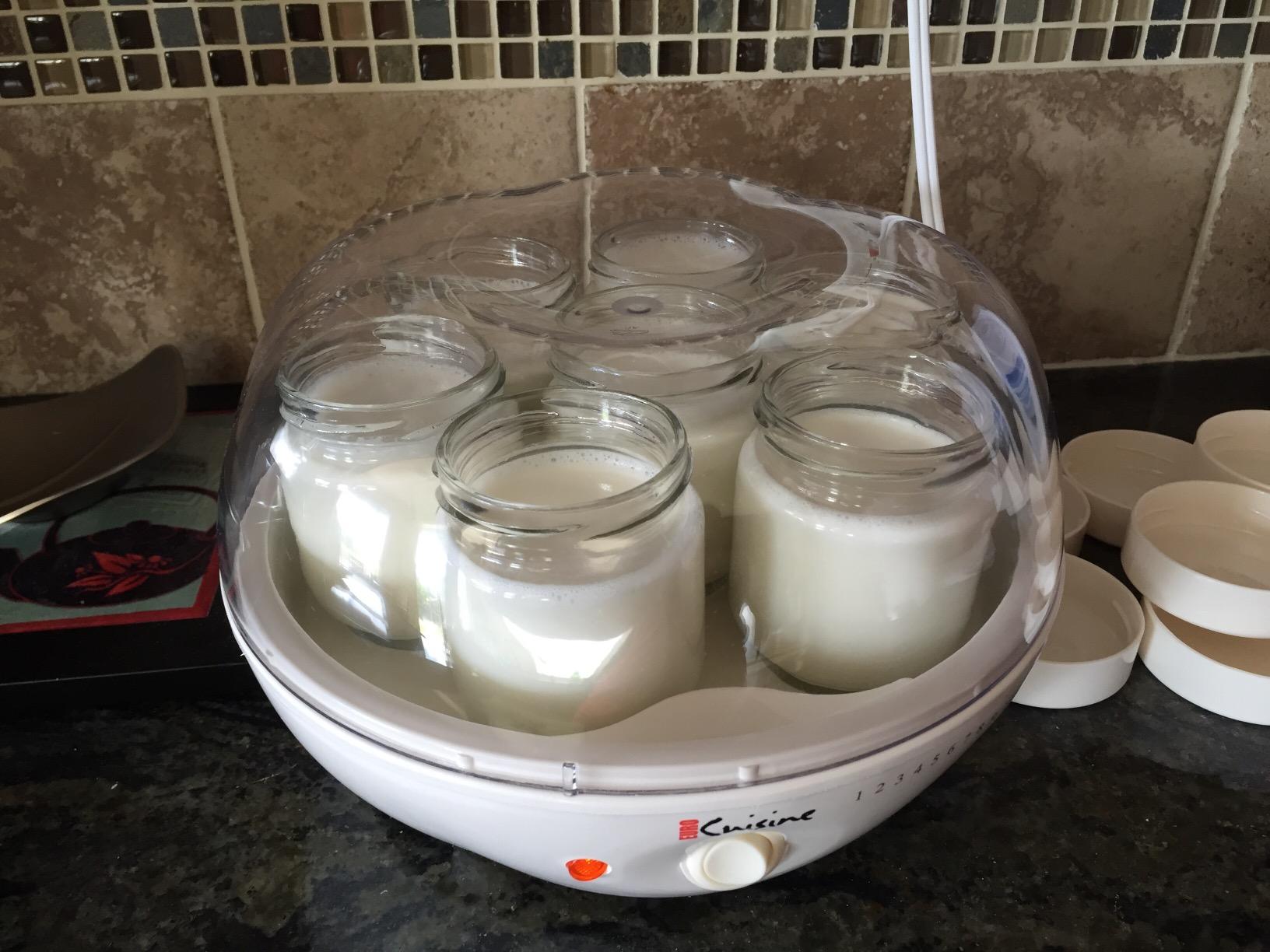 Euro Cuisine YM80 Electric Yogurt Maker Machine - Home Yogurt Incubator with Glass Jars, White customer photo 2