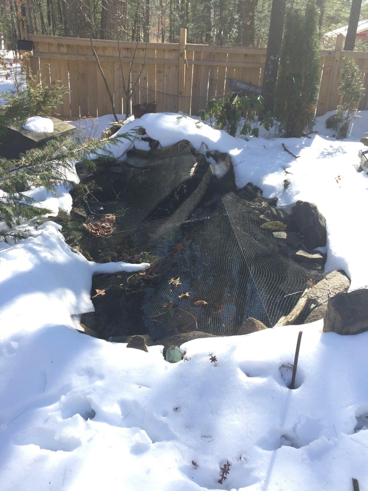 Laguna PowerHeat 315-Watt Floating Pond Heater for Outdoor Ponds with Fish - Thermostat-Controlled De-Icer with LED Indicator, Safe for Plastic & Liner Ponds, 22 ft Cord customer photo 1