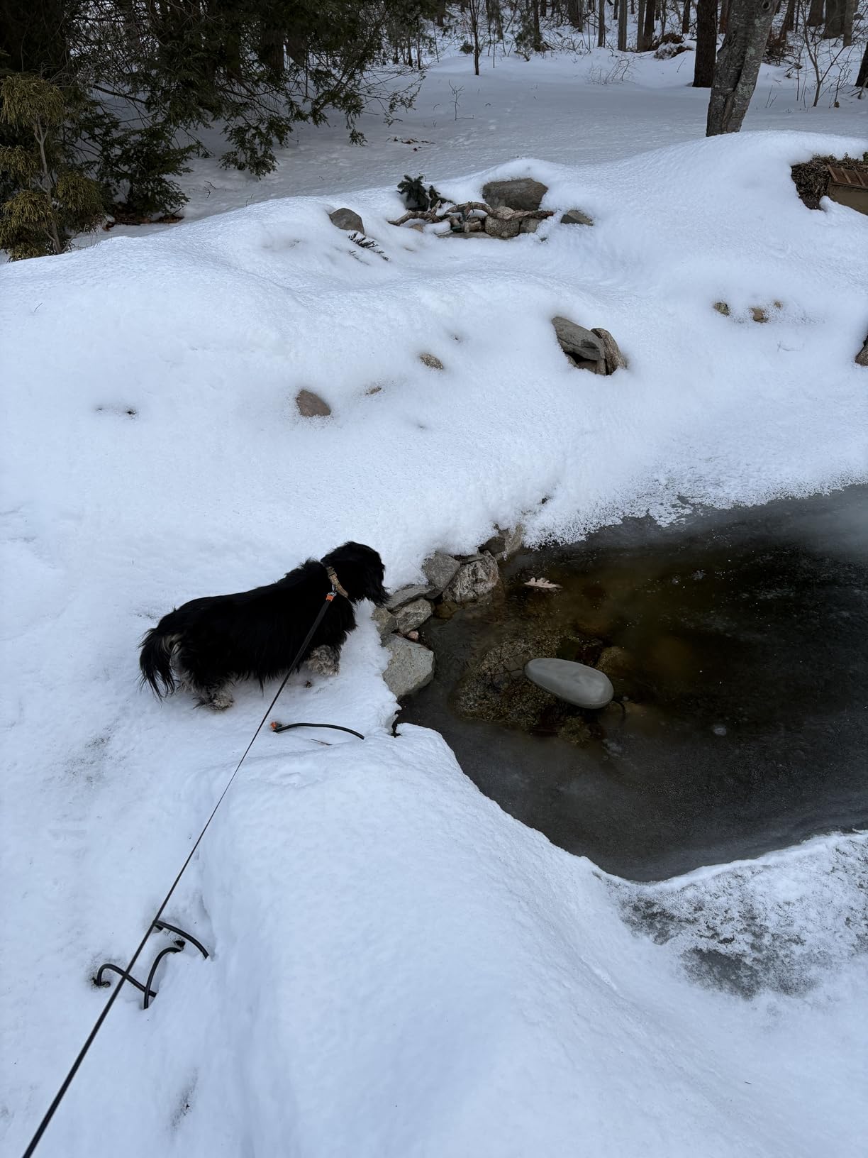 TetraPond De-Icer, Thermostatically Controlled Winter Survival Solution For Fish, UL Listed customer photo 1