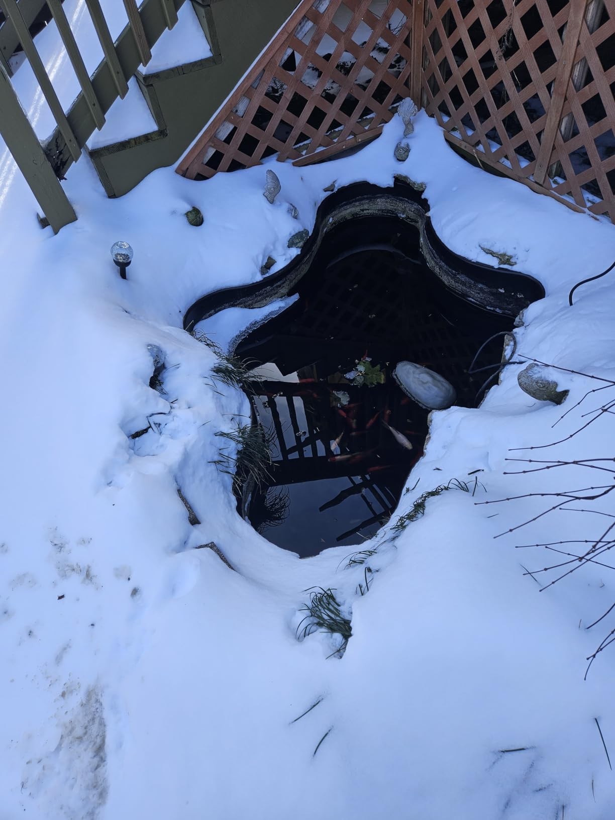 TetraPond De-Icer, Thermostatically Controlled Winter Survival Solution For Fish, UL Listed customer photo 2