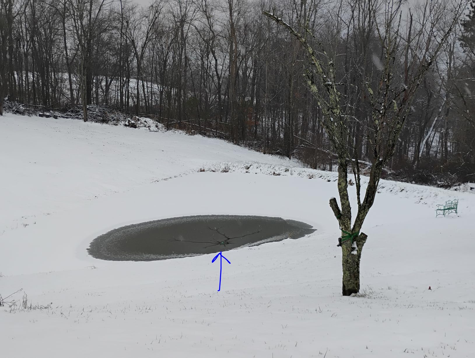 Farm Innovators 1250 Watts 7.5 Inch Cast Aluminum Floating Outdoor Pond De Icer Heater with Built in Thermostat Control and 10 Foot Cord, Green customer photo 1