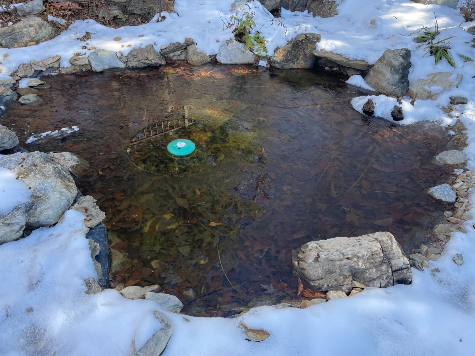 Farm Innovators 1250 Watts 7.5 Inch Cast Aluminum Floating Outdoor Pond De Icer Heater with Built in Thermostat Control and 10 Foot Cord, Green customer photo 2