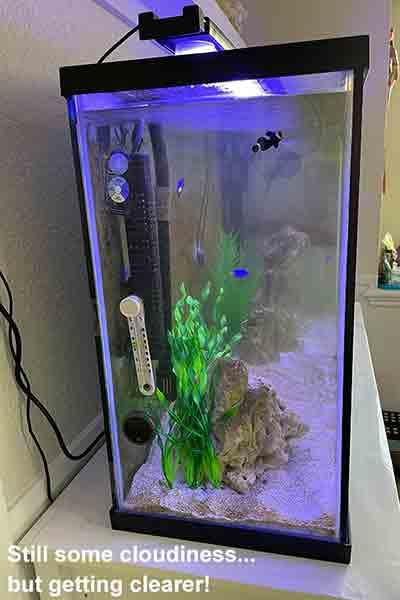 AquaUltraviolet Advantage 2000+ Inline 3/4