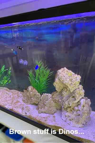 AquaUltraviolet Advantage 2000+ Inline 3/4