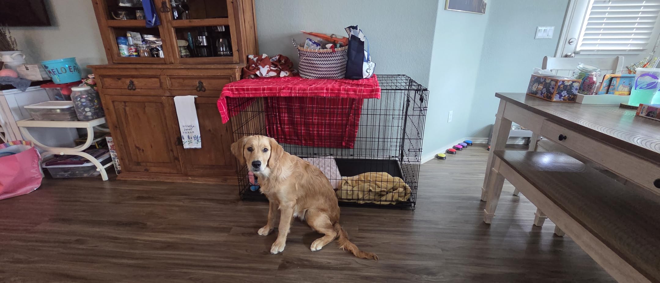 MidWest Homes for Pets 48-Inch iCrate for Extra-Large Breeds, 90-110 lbs, Single Door Folding Dog Crate with Divider Panel, Leak-Proof Tray & Secure Latches, Portable, Durable & Easy to Assemble customer photo 2