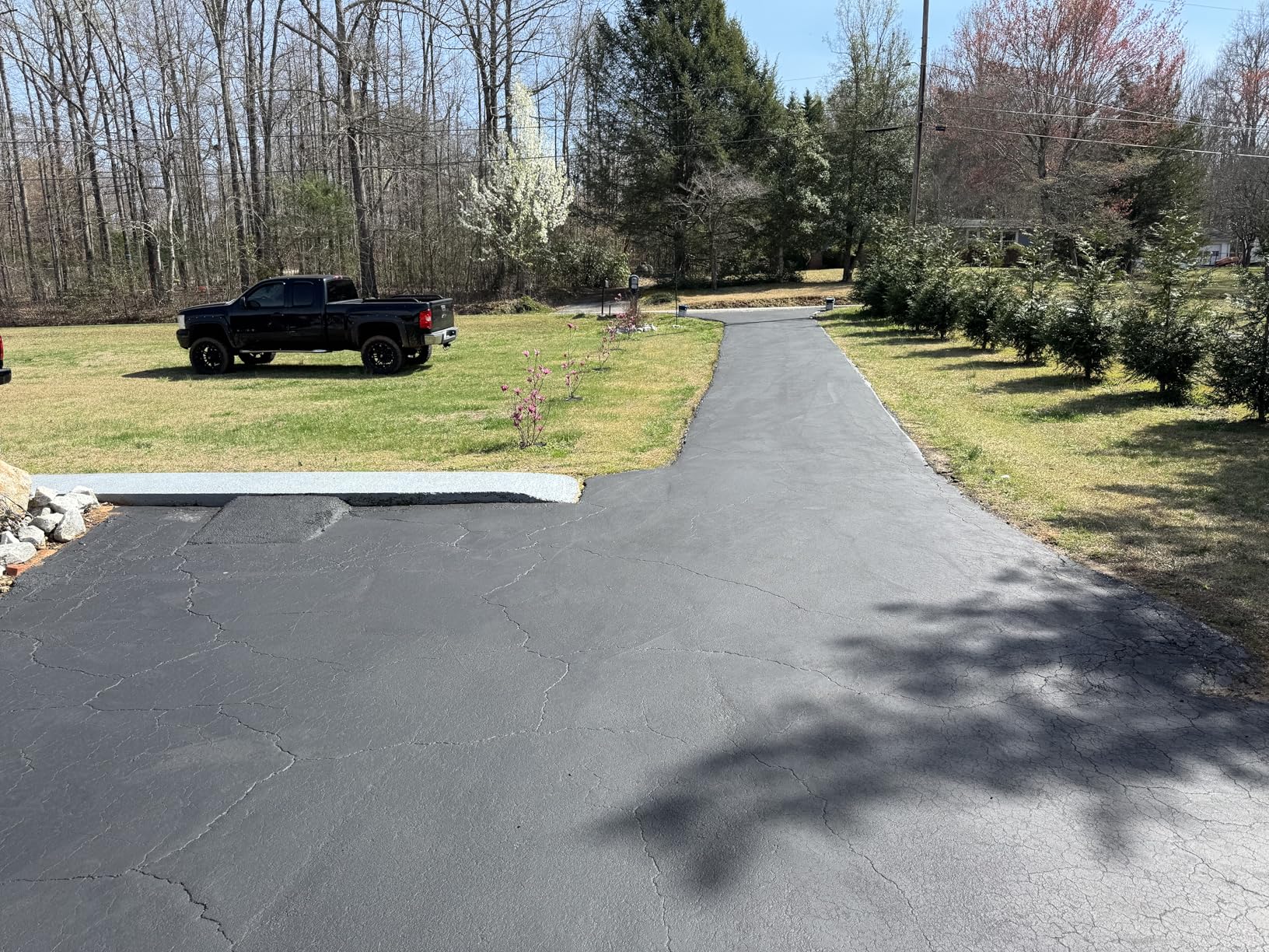 Black Jack Drive-Maxx 1000 customer photo 1