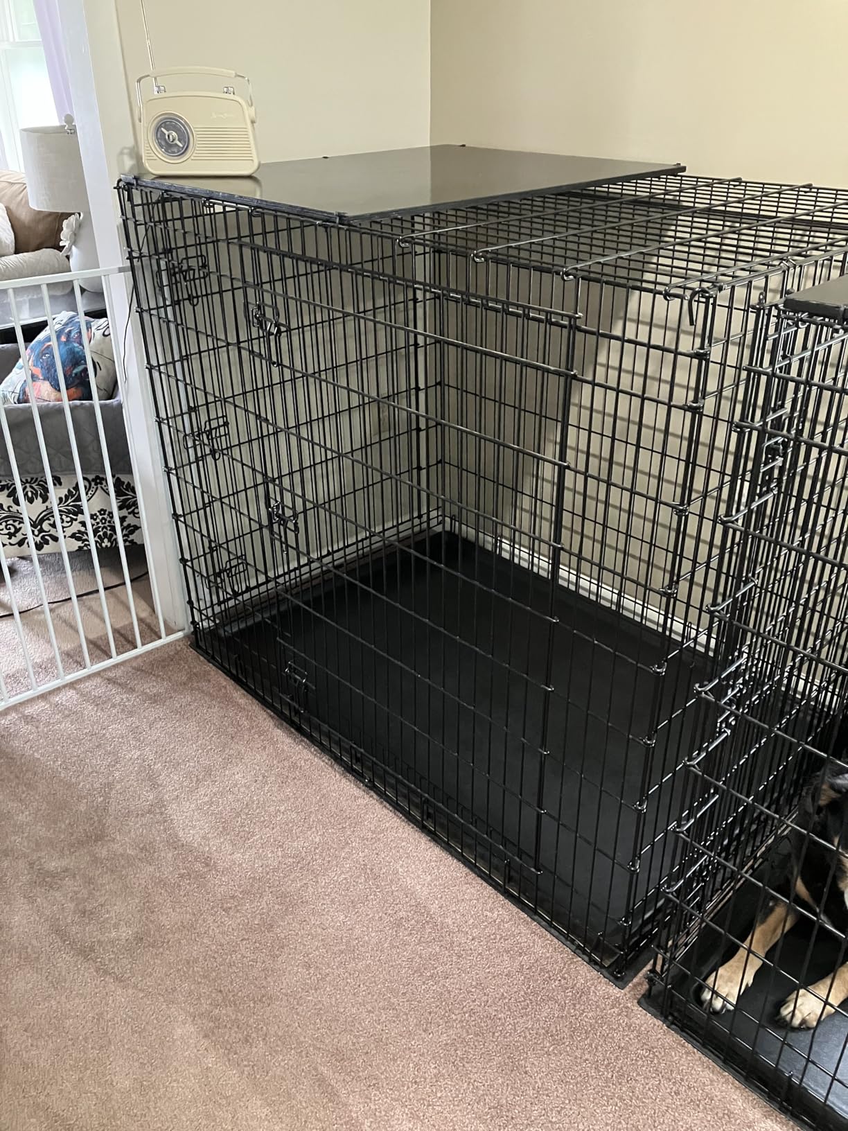 MidWest Homes for Pets 42-Inch iCrate for Large Breeds, 71-90 lbs, Double Door Folding Dog Crate with Divider Panel, Leak-Proof Tray & Secure Latches, Portable, Durable & Easy to Assemble customer photo 1