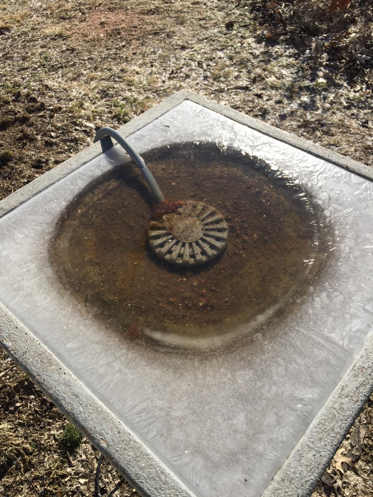 API Bird Bath De-Icer | Birdbath Water Heater | Thermostatically Controlled Aluminum Pond Deicer | Made in USA (250 Watt) customer photo 2